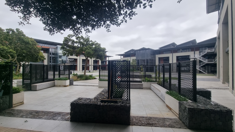 To Let Commercial Property for Rent in Observatory Western Cape